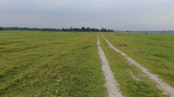 Property for sale in Oodlabari, Jalpaiguri