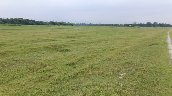 Residential Plot for Sale in Oodlabari, Jalpaiguri (100 Bigha)