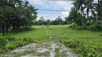 Residential Plot for Sale in Paharpur, Jalpaiguri (90 Katha)