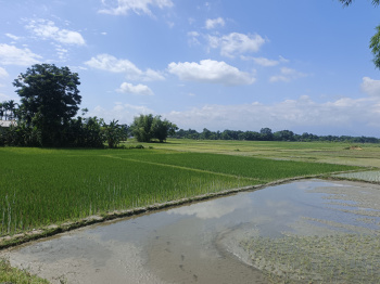 Residential Plot for Sale in Matelli, Jalpaiguri (130 Katha)