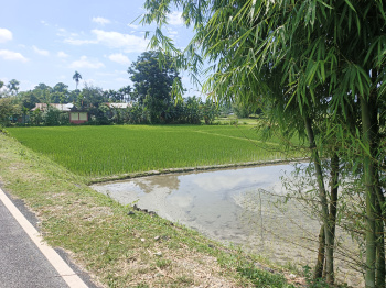 Property for sale in Matelli, Jalpaiguri