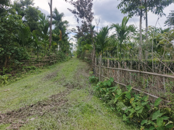 Residential Plot for Sale in Malbazar, Jalpaiguri (4.5 Bigha)