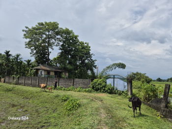 Residential Plot for Sale in Batabari, Jalpaiguri (30 Katha)