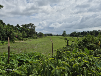 Residential Plot for Sale in Batabari, Jalpaiguri (50 Katha)