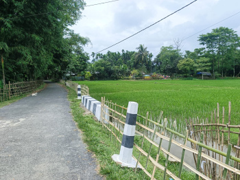 Residential Plot for Sale in Murti, Jalpaiguri (15 Katha)