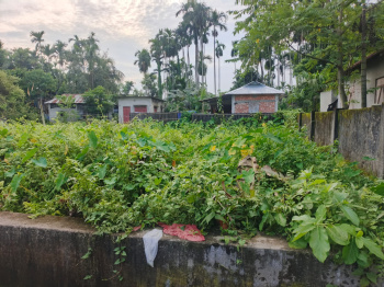 Residential Plot for Sale in Malbazar, Jalpaiguri (2 Katha)