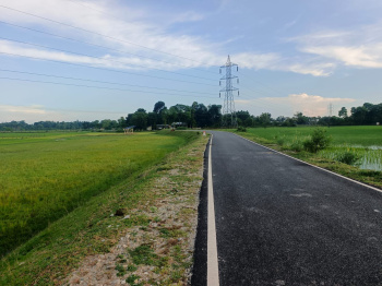 Residential Plot for Sale in Batabari, Jalpaiguri (50 Katha)