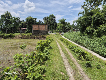Residential Plot for Sale in Murti, Jalpaiguri (3 Katha)