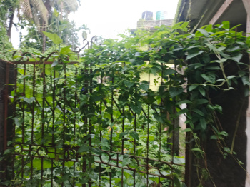 Residential Plot for Sale in Malbazar, Jalpaiguri (2 Katha)