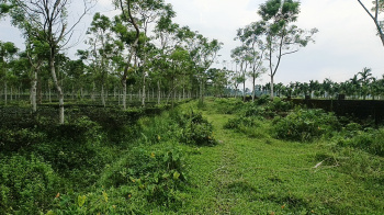 Property for sale in Grassmore, Jalpaiguri