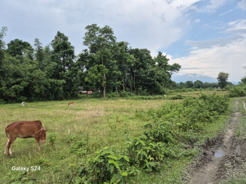 Residential Plot for Sale in Murti, Jalpaiguri (3 Bigha)
