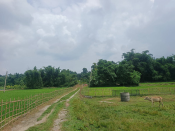 Residential Plot for Sale in Batabari, Jalpaiguri (5 Bigha)