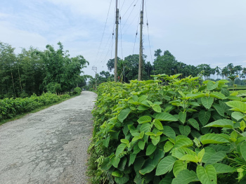 Residential Plot for Sale in Murti, Jalpaiguri (2 Bigha)