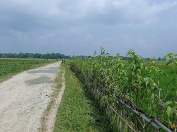 Residential Plot for Sale in Malbazar, Jalpaiguri (10 Bigha)