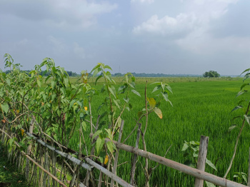 Property for sale in Malbazar, Jalpaiguri