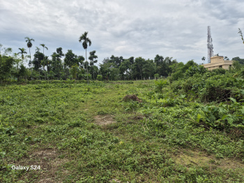 Property for sale in Kalimpong Khasmahal, Darjeeling