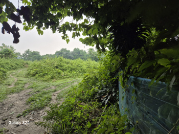 6 Bigha Residential Plot for Sale in Salbari, Siliguri