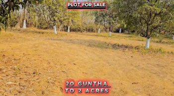 20 Guntha Agricultural/Farm Land for Sale in Neral, Raigad