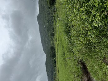 110 Guntha Agricultural/Farm Land for Sale in Karjat, Mumbai