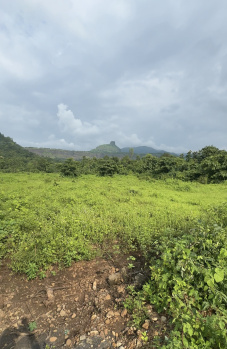 80 Guntha Agricultural/Farm Land for Sale in Karjat, Mumbai