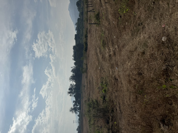 20 Guntha Residential Plot for Sale in Karjat, Mumbai