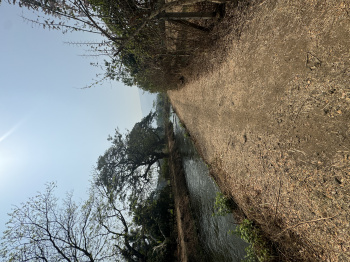 Residential Plot for Sale in Mandawane, Mumbai (1 Acre)