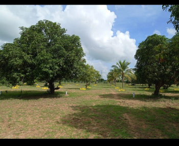 Property for sale in vengal highly demanded area for low price