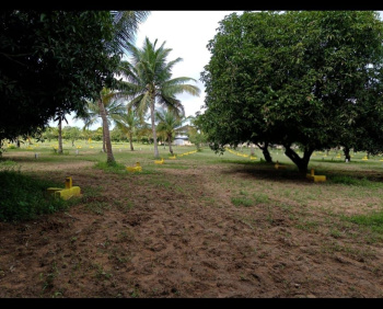 Property for sale in vengal near thamaraipakkam