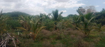 Property for sale in Moolakaraipatti, Tirunelveli