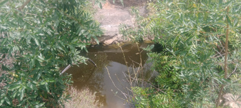 Property for sale in Moolakaraipatti, Tirunelveli