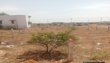 Residential Plot for Sale in Reddiarpatti, Tirunelveli (4.75 Cent)