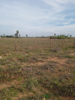 Residential Plot for Sale in Nanguneri, Tirunelveli (5 Acre)