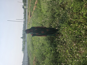 1111 Sq. Yards Commercial Lands /Inst. Land for Sale in Aonla, Bareilly