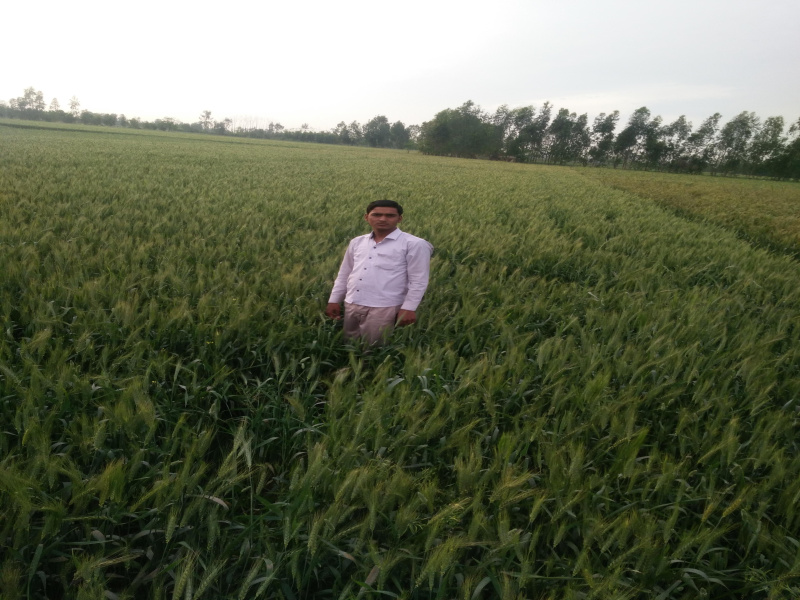 Property for sale in Sh 51, Sambhal