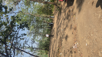 Agricultural/Farm Land for Sale in Sh 51, Sambhal (18 Bigha)