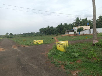 230 Sq.ft. Residential Plot for Sale in Kinathukadavu, Coimbatore