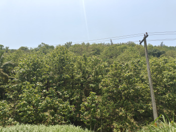 Property for sale in Agali, Palakkad