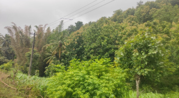 Agricultural/Farm Land for Sale in Agali, Palakkad (3.3050 Acre)