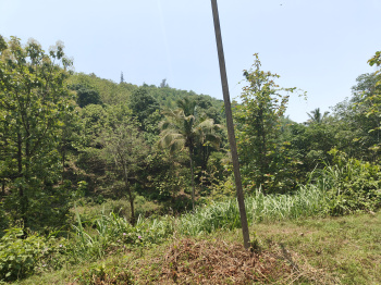 Property for sale in Agali, Palakkad