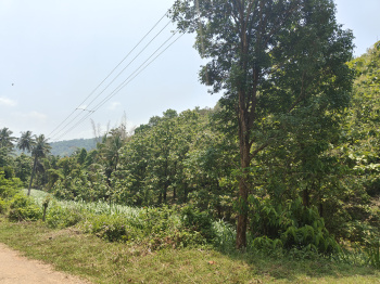 Property for sale in Agali, Palakkad