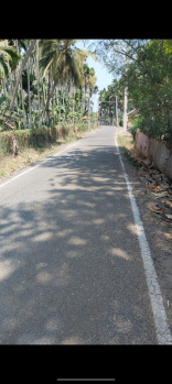 Agricultural/Farm Land for Sale in Vedapatti, Coimbatore (3.5 Acre)