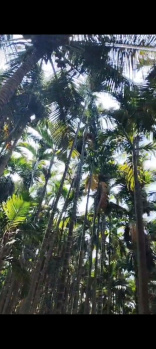 Property for sale in Vedapatti, Coimbatore