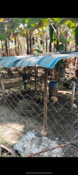 Property for sale in Vedapatti, Coimbatore