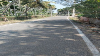 Agricultural/Farm Land For Sale In Vedapatti, Coimbatore (3.5 Acre)