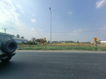 Agricultural/Farm Land for Sale in Thudiyalur, Coimbatore (30 Acre)