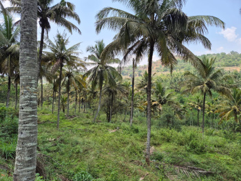 Agricultural/Farm Land for Sale in Udumalai/udumalpet, Coimbatore (1 Cent)