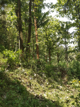 Agricultural/Farm Land for Sale in Sirumugai, Coimbatore (5 Acre)