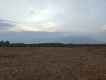Property for sale in Mettupalayam Road, Coimbatore
