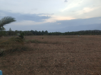 Property for sale in Mettupalayam Road, Coimbatore