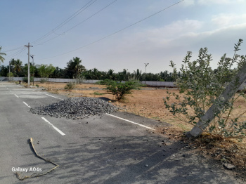 Residential Plot for Sale in Karamadai, Coimbatore (1 Cent)